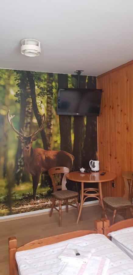 Eden Szczyrk Bed & Breakfast Ngoại thất bức ảnh